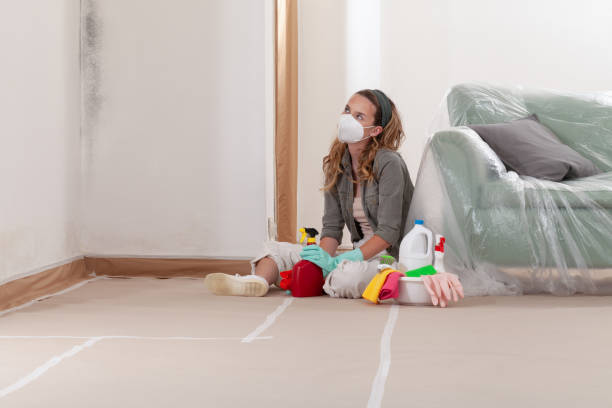 Reliable Mold Remediation contractor in Ramsey, NJ by Car Mold Remediation